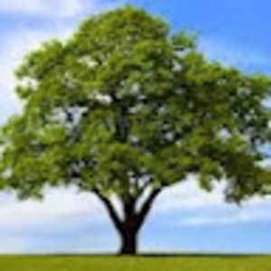 Meet your Posher, Andre